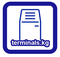 Платежные терминалы и ремонт запчастей в Бишкеке на Terminals.kg logo